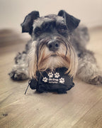 Dog Poop Bag Holder product image 6