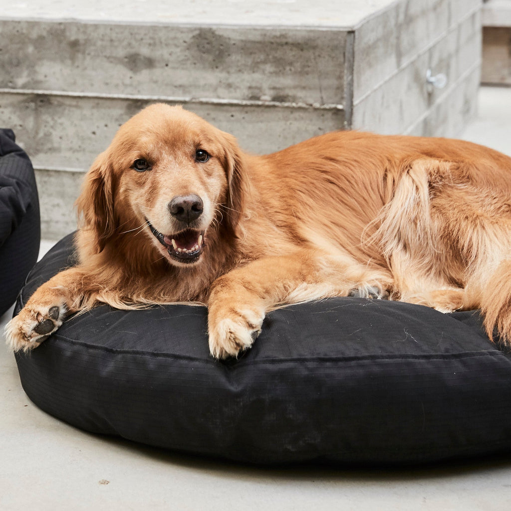 Tough Ripstop Round Pillow Dog Bed product image 18