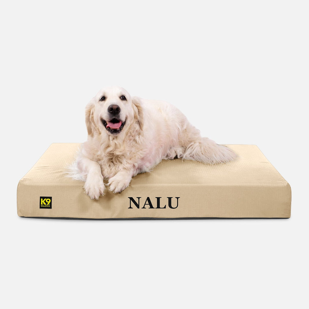 Ripstop Orthopedic Dog Bed product image 1
