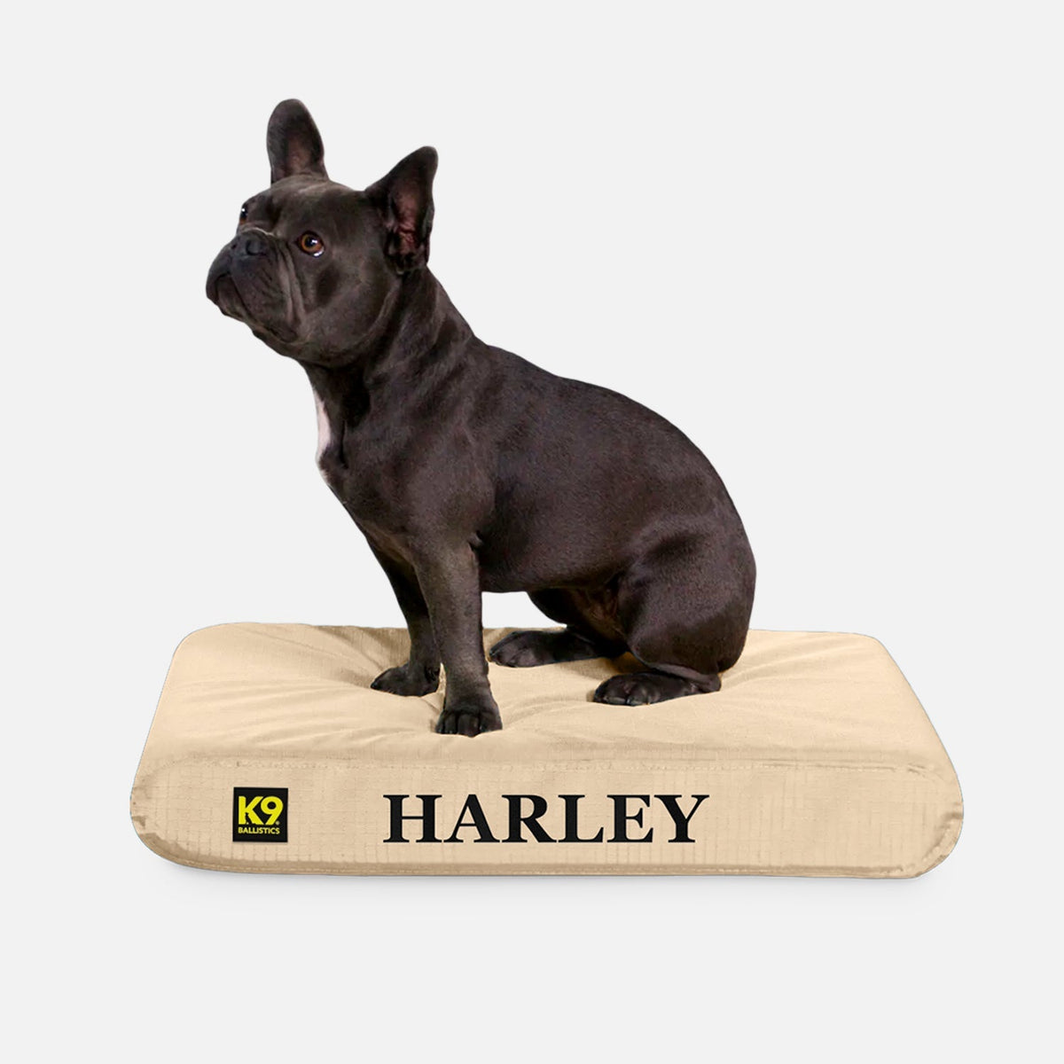 Ripstop Orthopedic Dog Bed product image 3