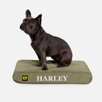 Ripstop Orthopedic Dog Bed product image 4