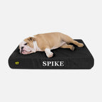 Ripstop Orthopedic Dog Bed product image 6