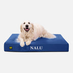 Ripstop Orthopedic Dog Bed product image 12