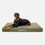 Ripstop Orthopedic Dog Bed product image 15