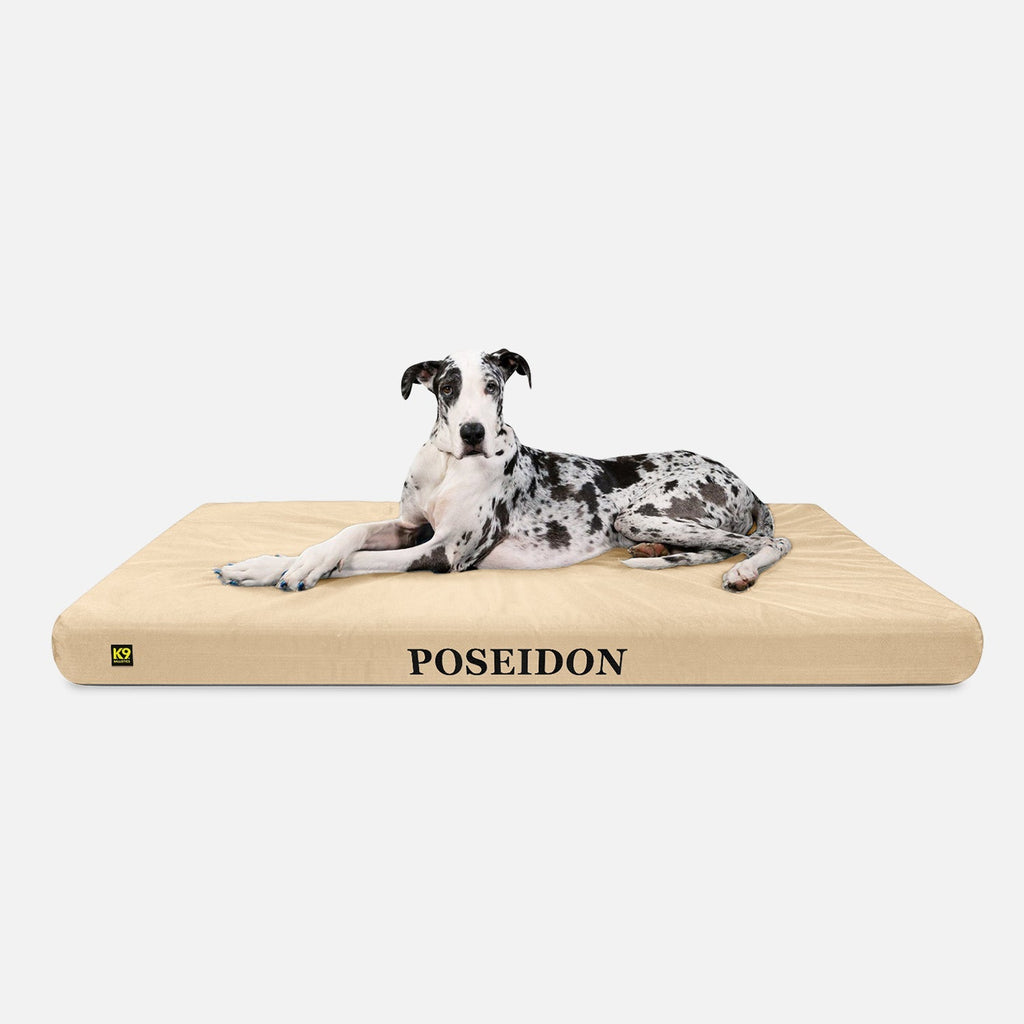 Ripstop Orthopedic Dog Bed product image 17