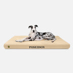 Ripstop Orthopedic Dog Bed product image 17