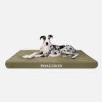Ripstop Orthopedic Dog Bed product image 18