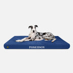 Ripstop Orthopedic Dog Bed product image 19