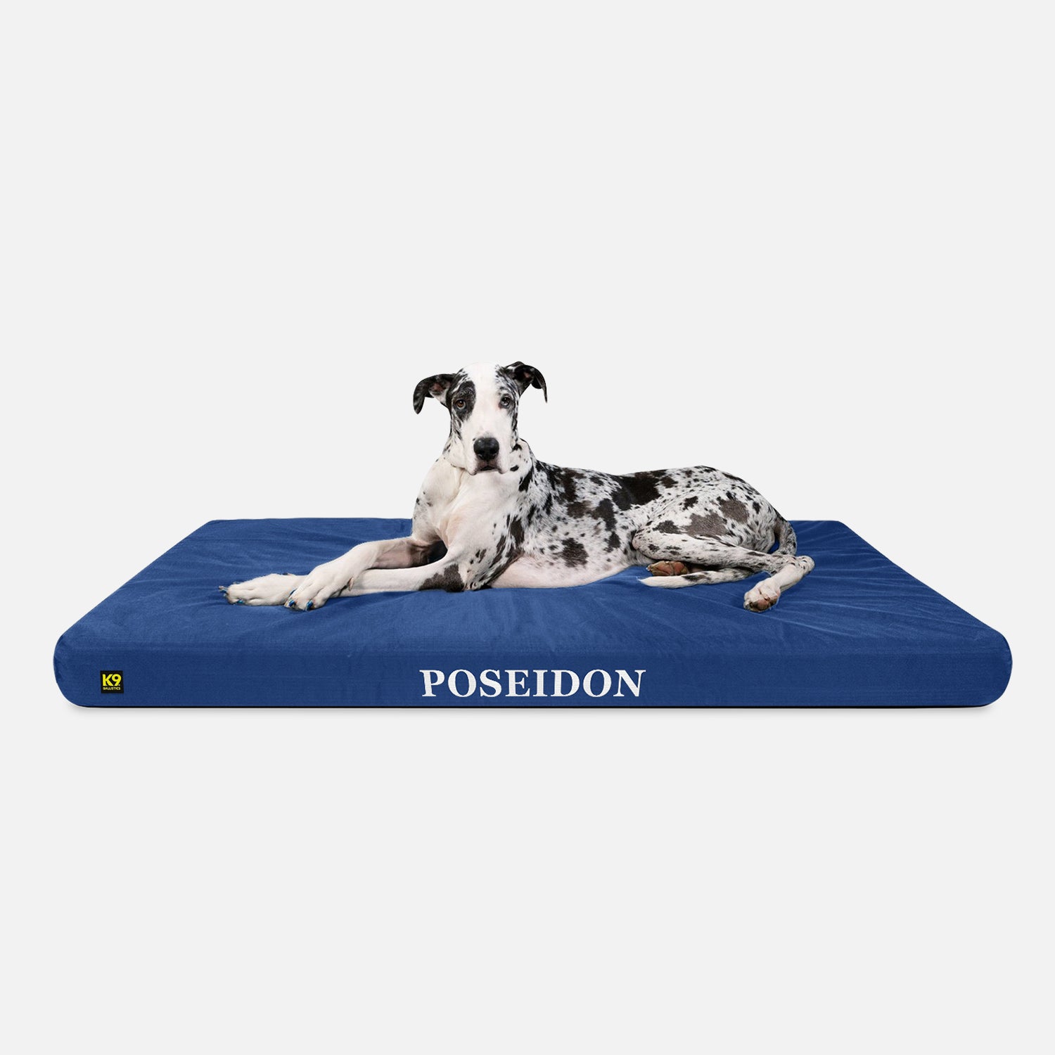 Ripstop Orthopedic Dog Bed product image 19