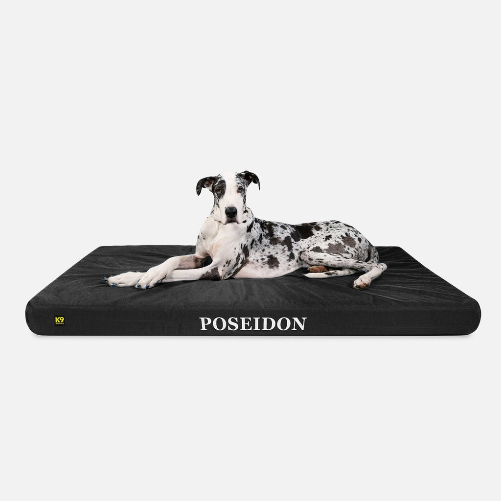 Ripstop Orthopedic Dog Bed product image 20
