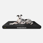 Ripstop Orthopedic Dog Bed product image 20