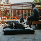 Ripstop Orthopedic Dog Bed product image 23