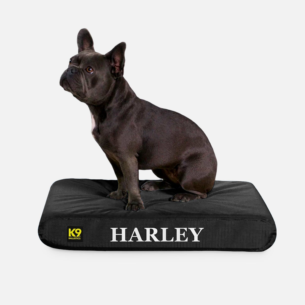 Ripstop Orthopedic Dog Bed, S / Obsidian Black