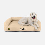 Orthopedic Rectangle Bolster Dog Bed product image 10