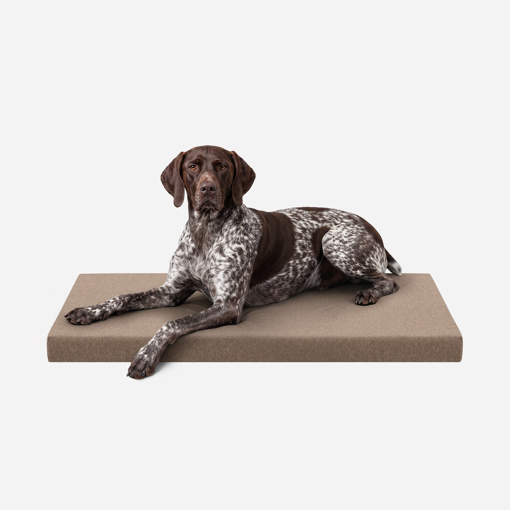 Ripstop Orthopedic Dog Crate Bed product image 1