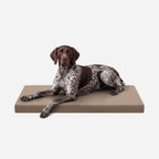 Ripstop Orthopedic Dog Crate Bed product image 1