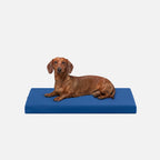 Ripstop Orthopedic Dog Crate Bed product image 4
