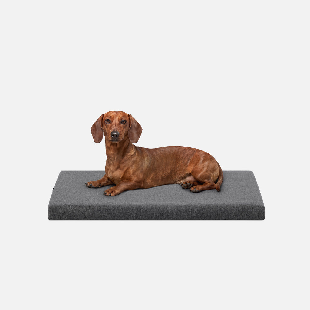 Ripstop Orthopedic Dog Crate Bed product image 6