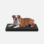 Ripstop Orthopedic Dog Crate Bed product image 8