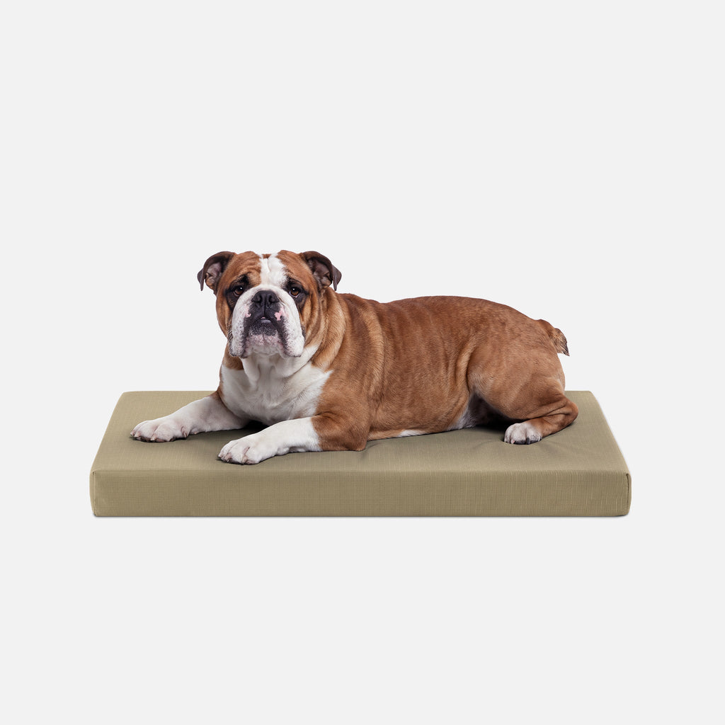 Ripstop Orthopedic Dog Crate Bed product image 9