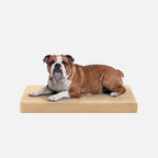 Ripstop Orthopedic Dog Crate Bed product image 11