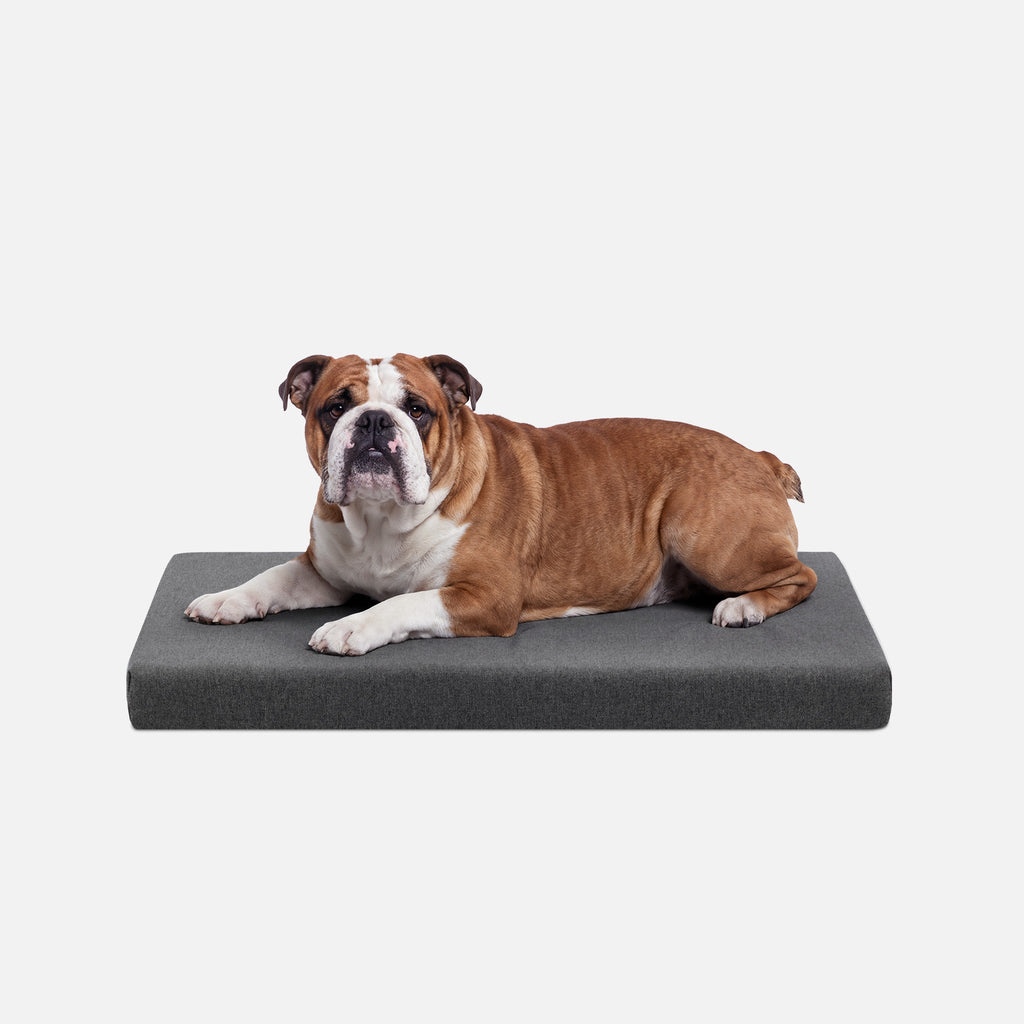 Ripstop Orthopedic Dog Crate Bed product image 12