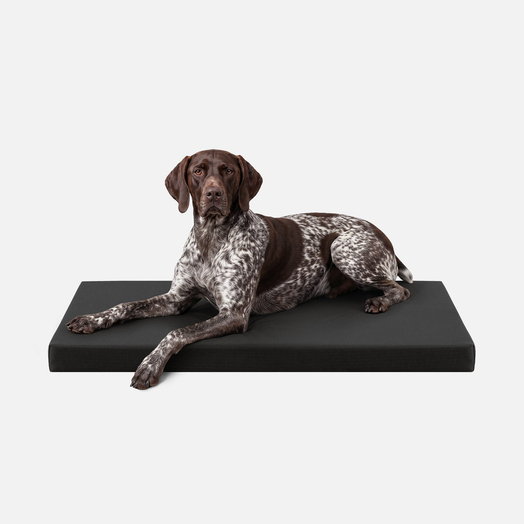 Ripstop Orthopedic Dog Crate Bed product image 14