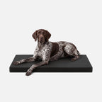 Ripstop Orthopedic Dog Crate Bed product image 14