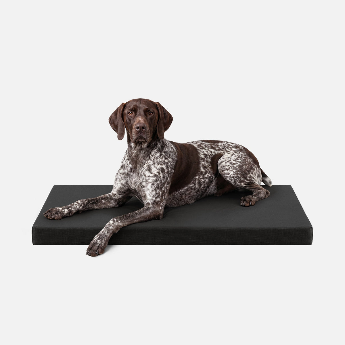 Ripstop Orthopedic Dog Crate Bed product image 14