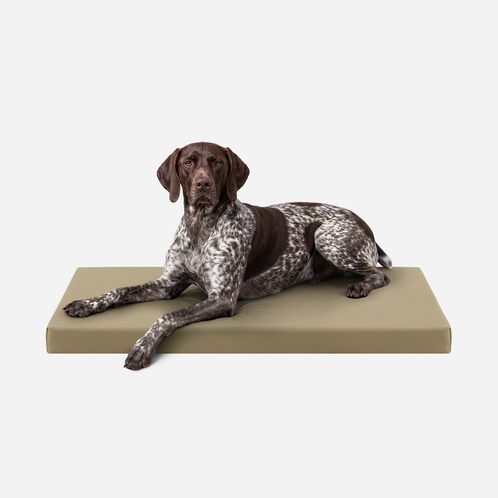 Ripstop Orthopedic Dog Crate Bed product image 15