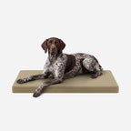 Ripstop Orthopedic Dog Crate Bed product image 15