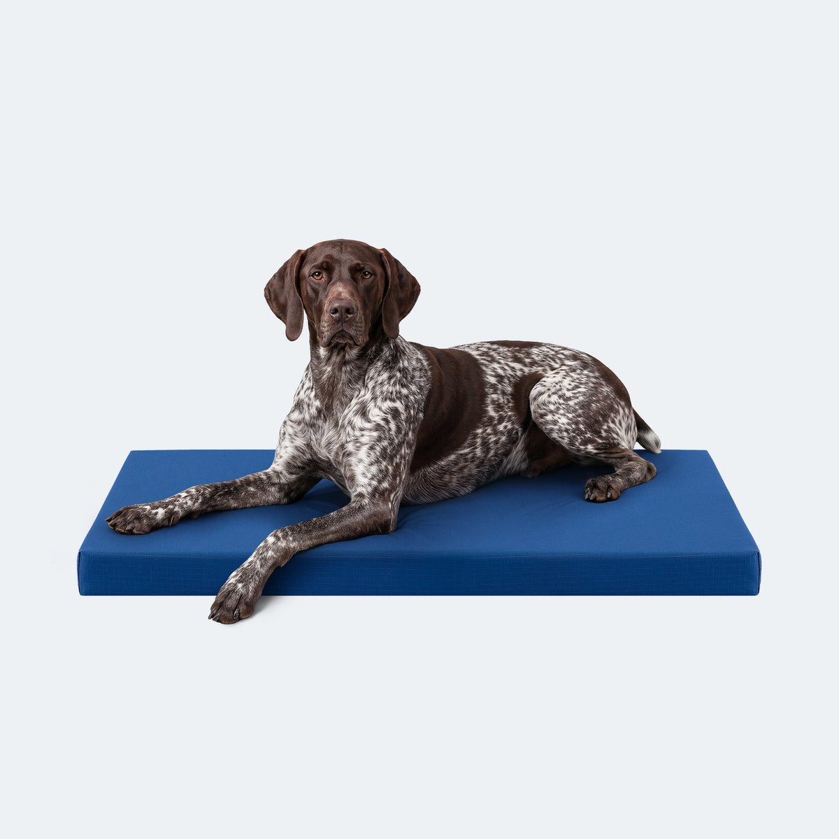 Ripstop Orthopedic Dog Crate Bed product image 16