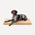 Ripstop Orthopedic Dog Crate Bed product image 17