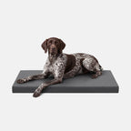 Ripstop Orthopedic Dog Crate Bed product image 18