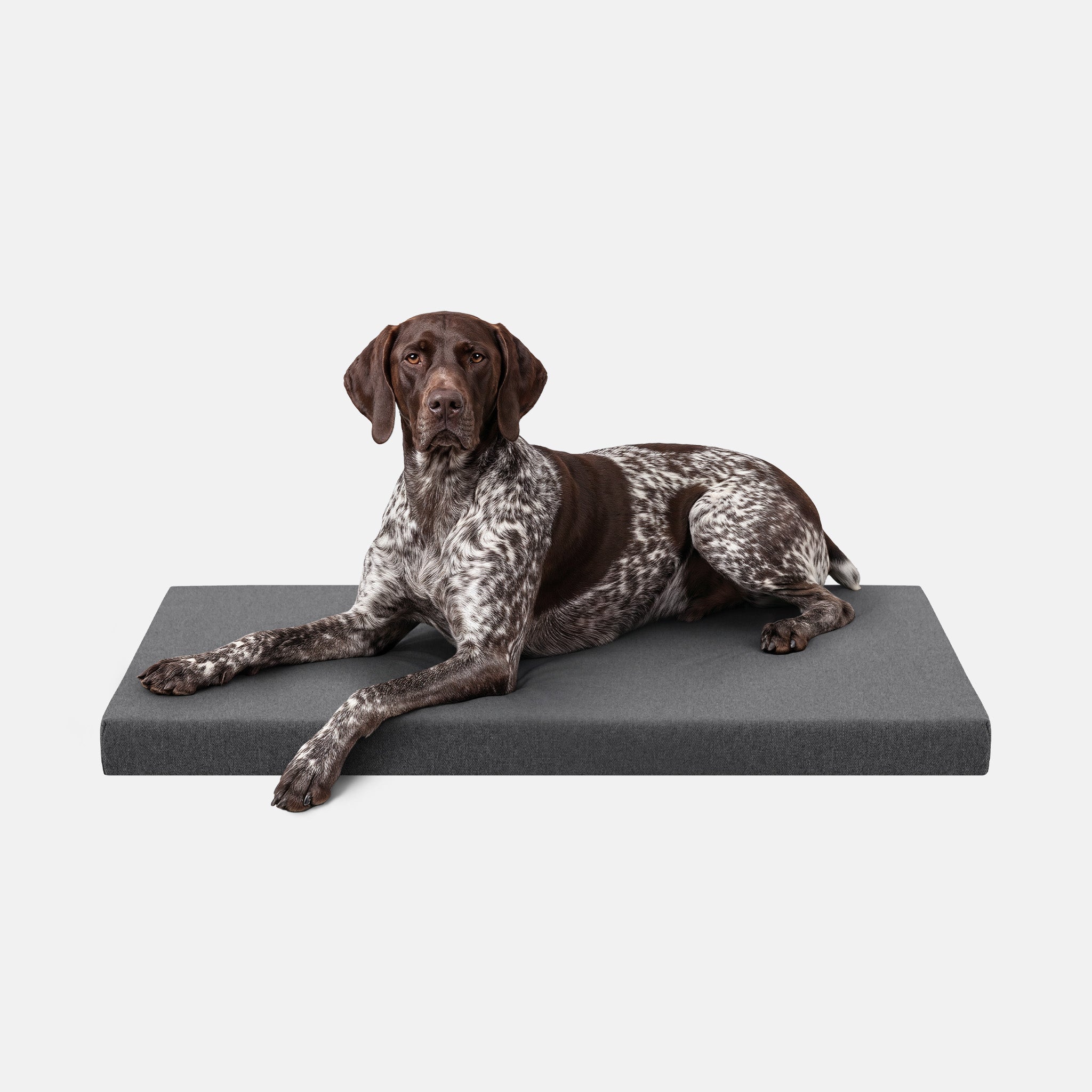 Ripstop Orthopedic Dog Crate Bed product image 18