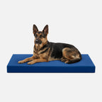 Ripstop Orthopedic Dog Crate Bed product image 21