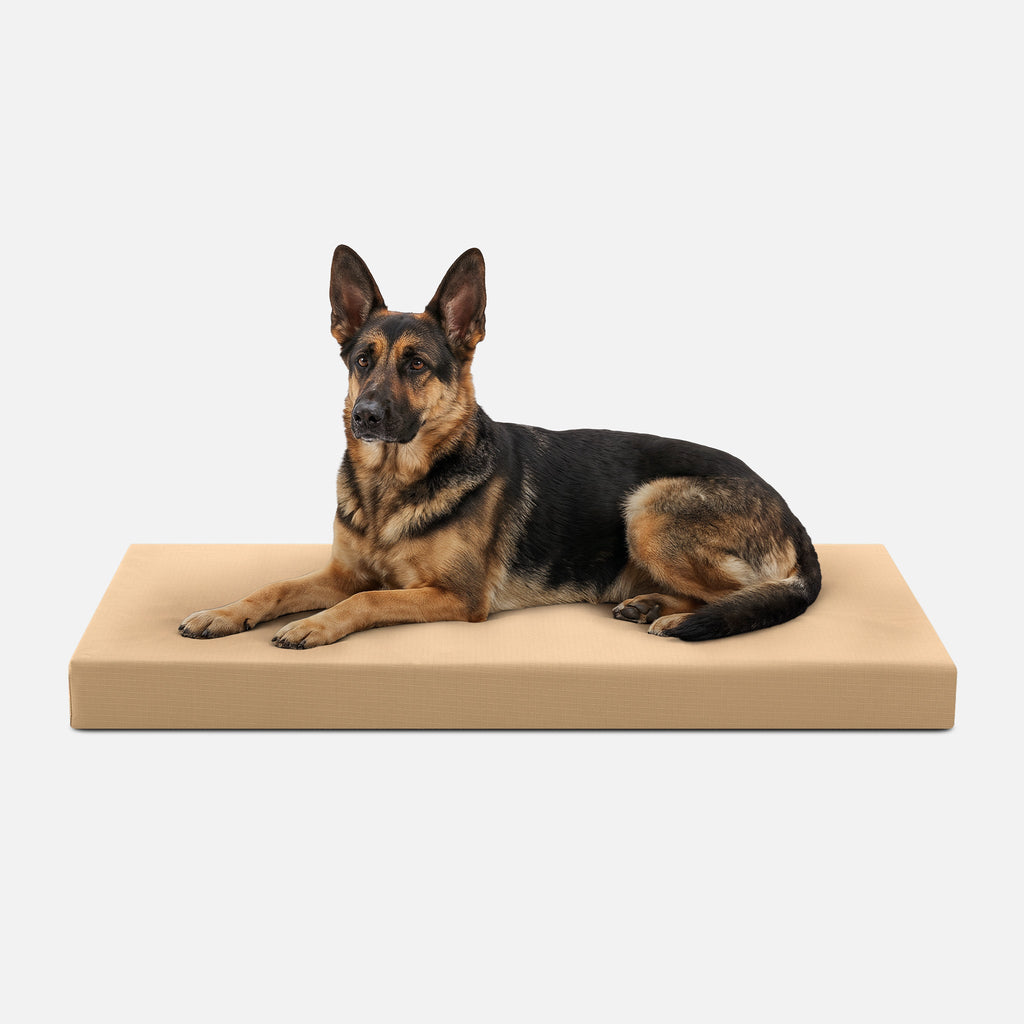 Ripstop Orthopedic Dog Crate Bed product image 22
