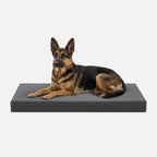 Ripstop Orthopedic Dog Crate Bed product image 23