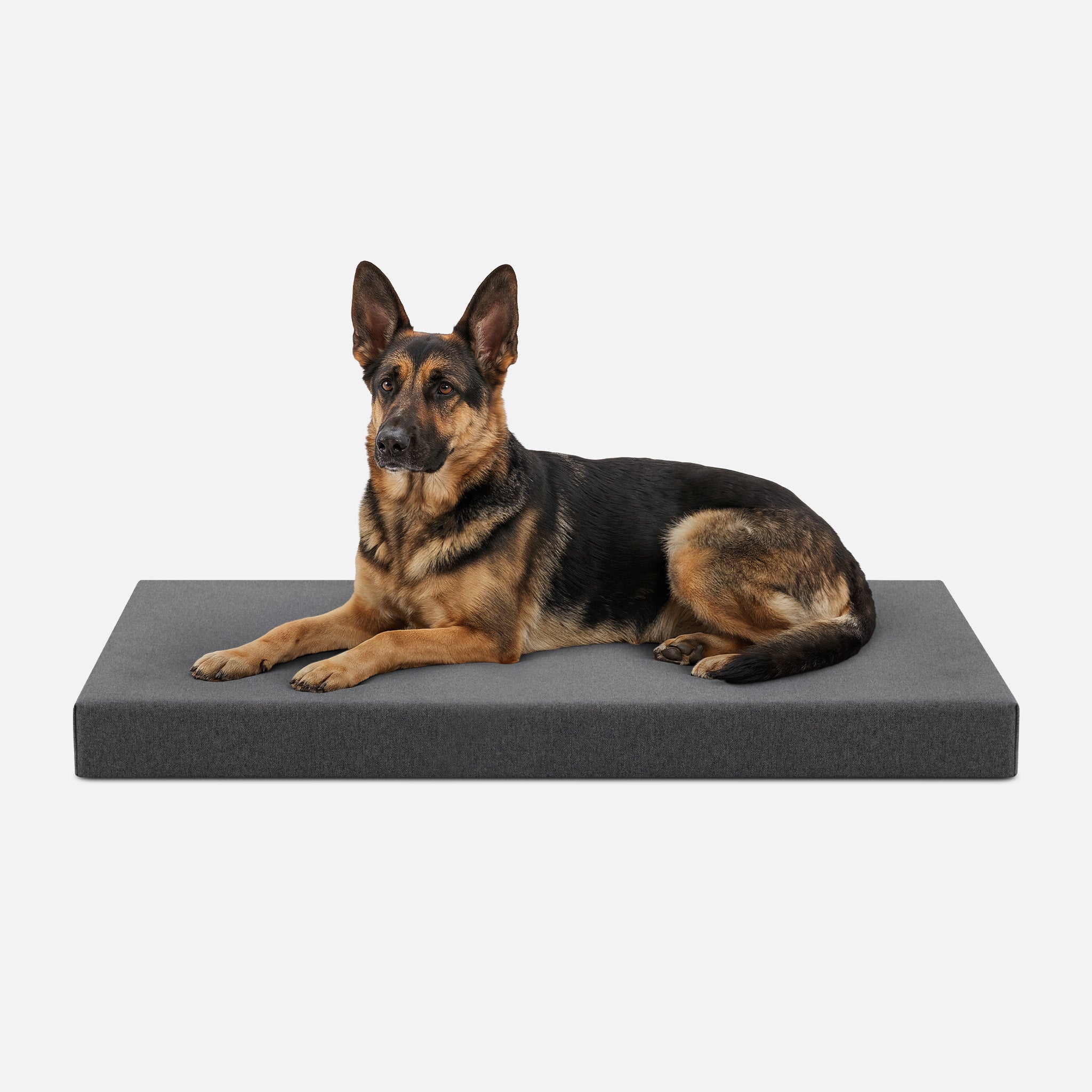 Ripstop Orthopedic Dog Crate Bed product image 23