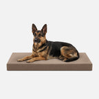 Ripstop Orthopedic Dog Crate Bed product image 24