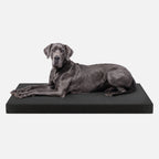 Ripstop Orthopedic Dog Crate Bed product image 25