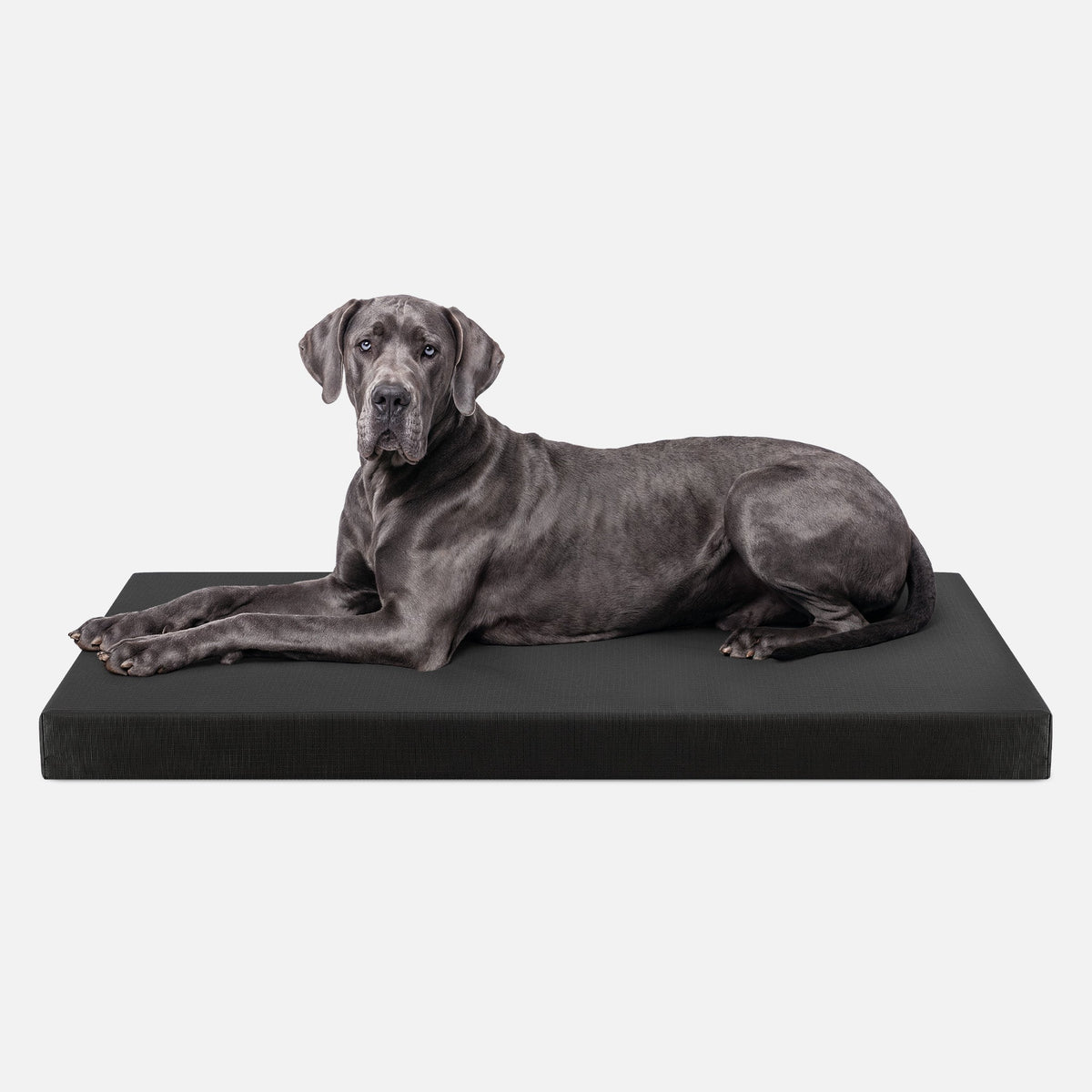 Ripstop Orthopedic Dog Crate Bed product image 25