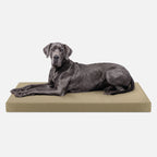 Ripstop Orthopedic Dog Crate Bed product image 26