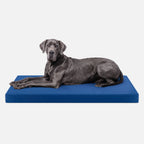 Ripstop Orthopedic Dog Crate Bed product image 27