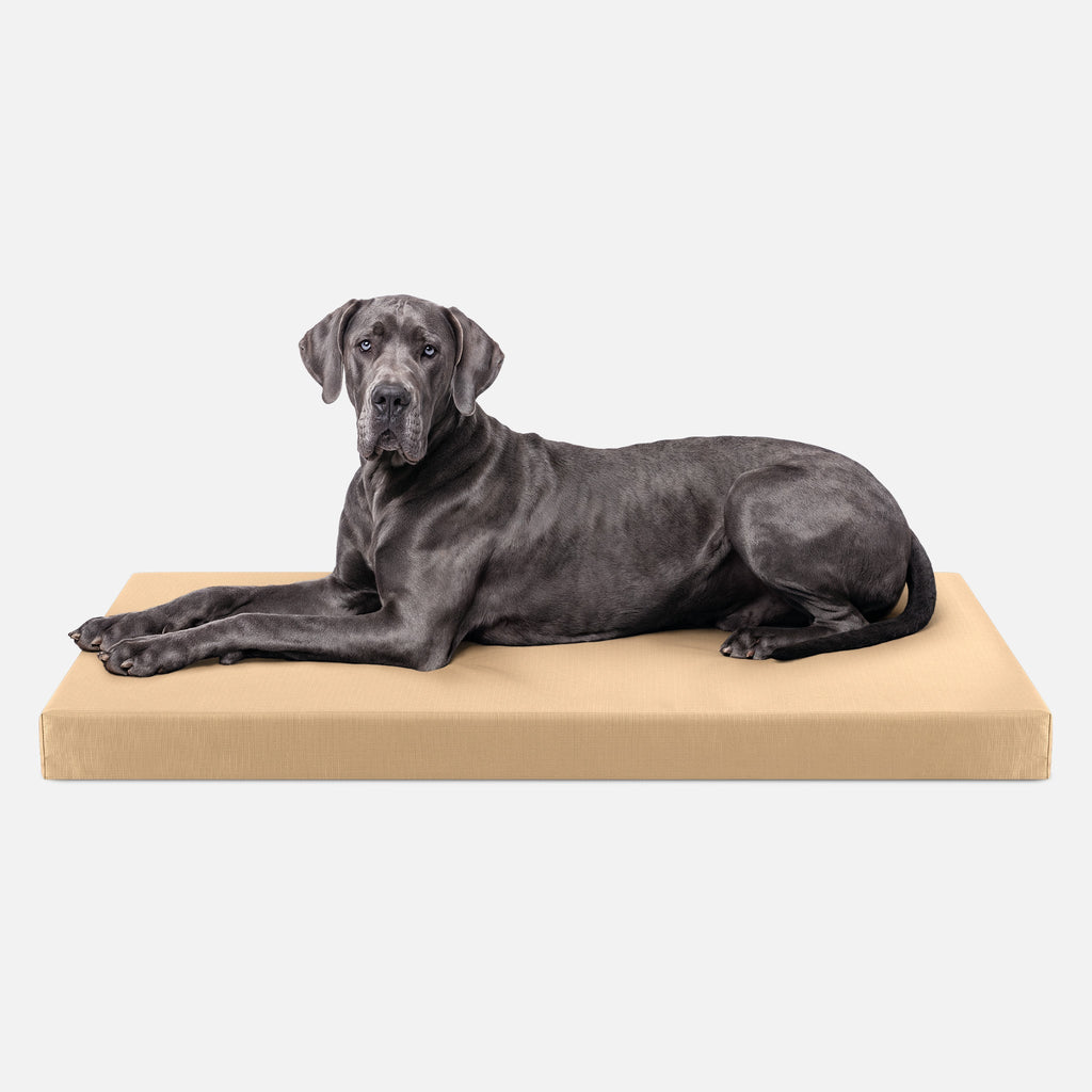 Ripstop Orthopedic Dog Crate Bed product image 28