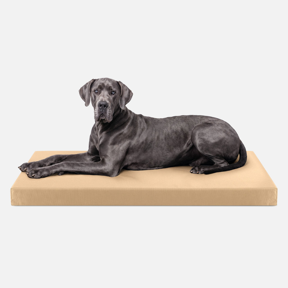 Ripstop Orthopedic Dog Crate Bed product image 28