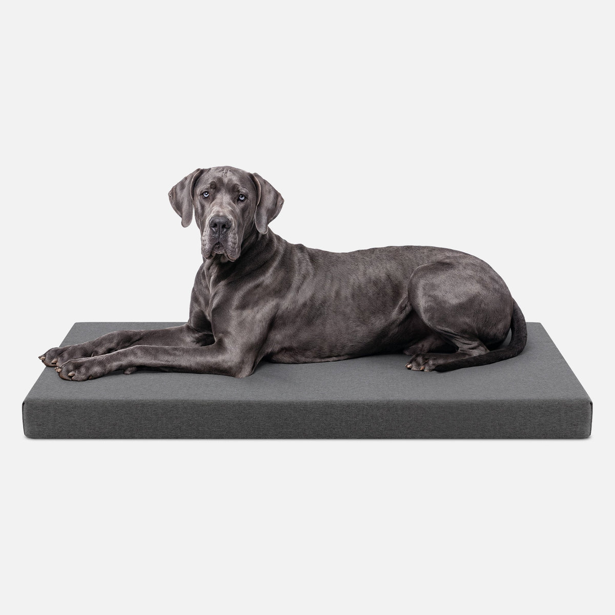 Ripstop Orthopedic Dog Crate Bed product image 29