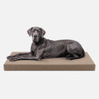 Ripstop Orthopedic Dog Crate Bed product image 30