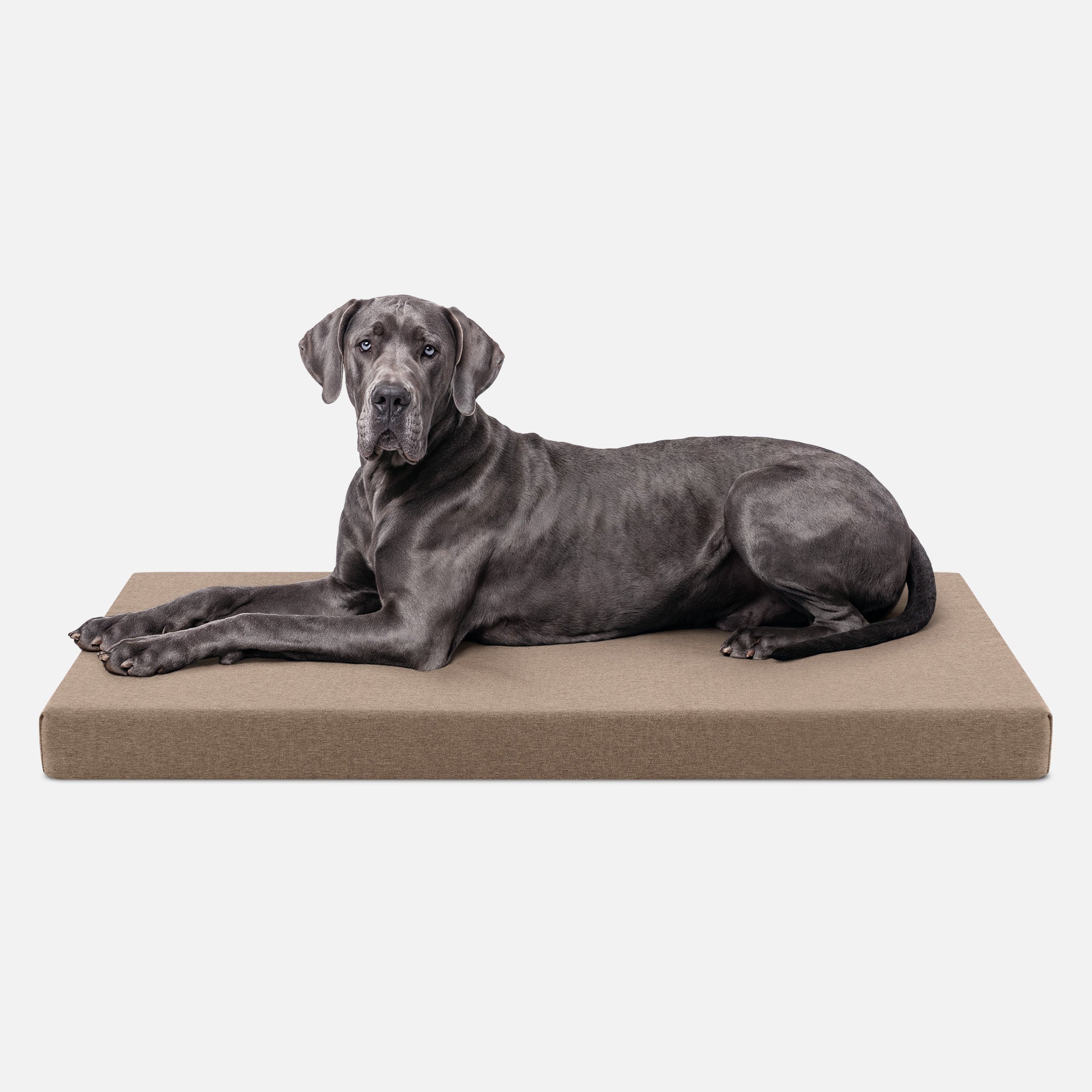 Ripstop Orthopedic Dog Crate Bed product image 30