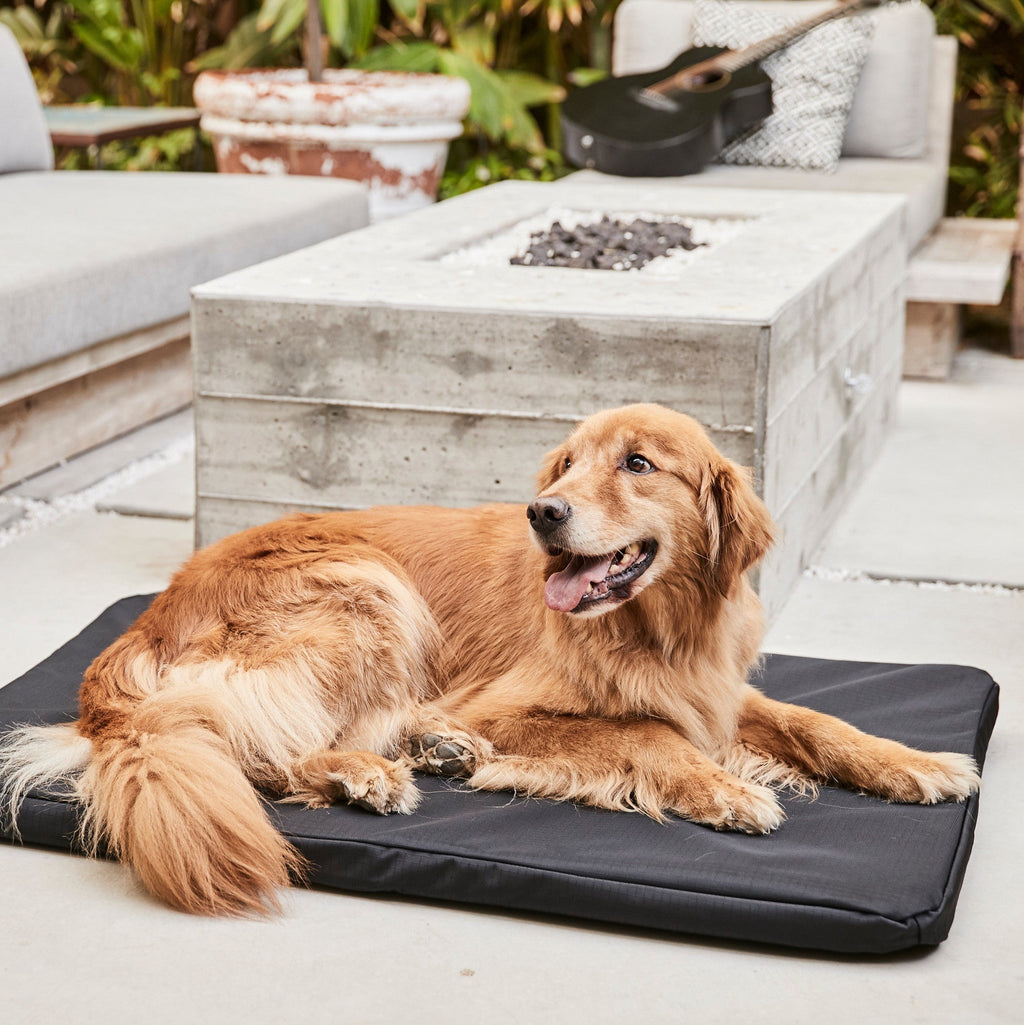 Ripstop Orthopedic Dog Crate Bed product image 32